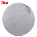 Yoga Ball Protective Cover Gym Workout Balance Ball