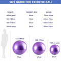 Sports Yoga Balls Balance Bola Pilates Fitness Ball with Pump