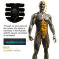 Electric Muscle Stimulator Set