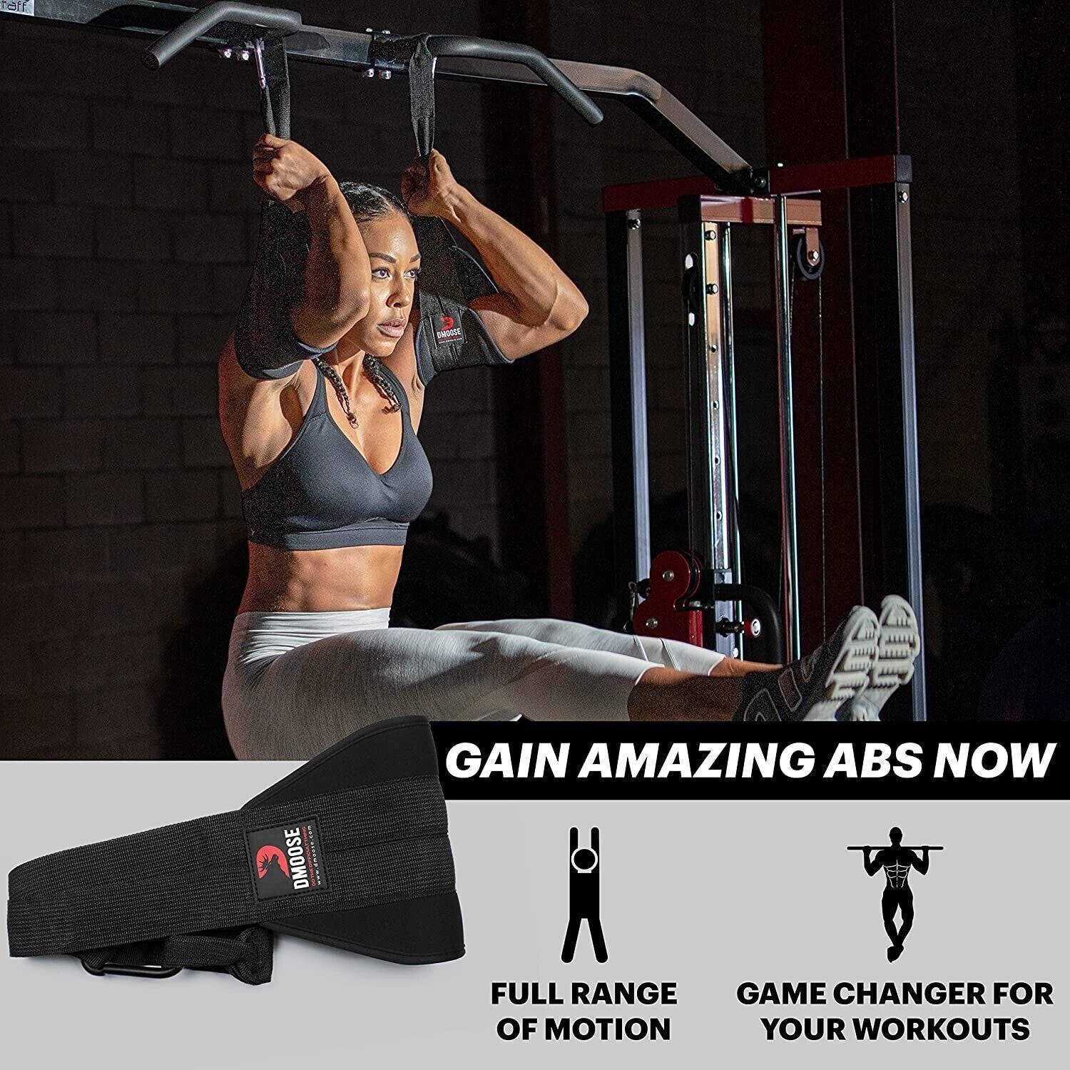Hanging Abdominal Straps Pair