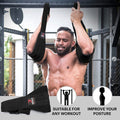 Hanging Abdominal Straps Pair